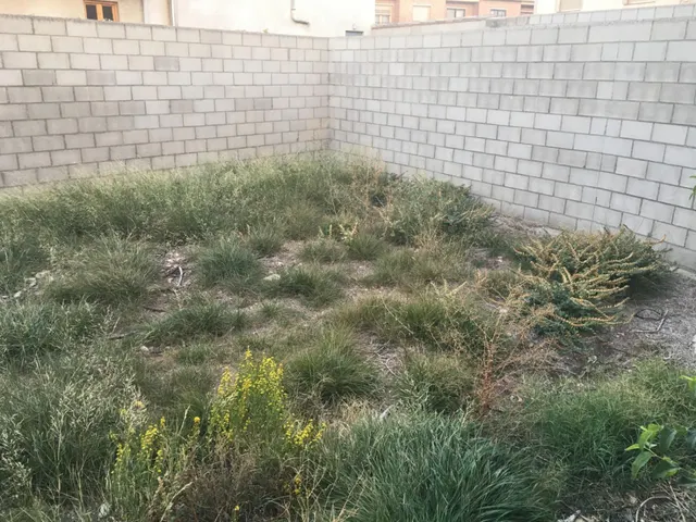 Solar urbano en el centro de Pedrola – 241 m2 con doble acceso — 4