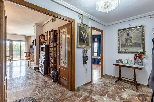Pisazo en paseo del salón - Granada — 39