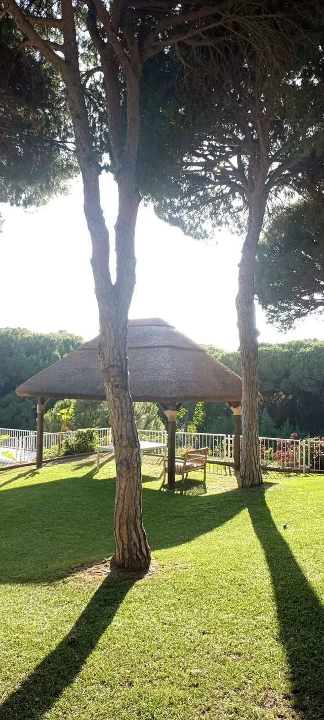 Chalet 3 habitaciones 130m² en venta - Riviera del sol — 38