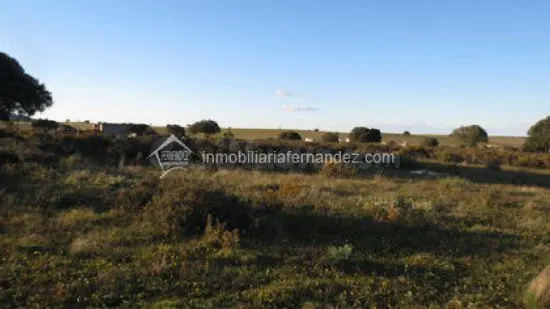 Se vende Finca en la Carretera de Badajoz - foto 3
