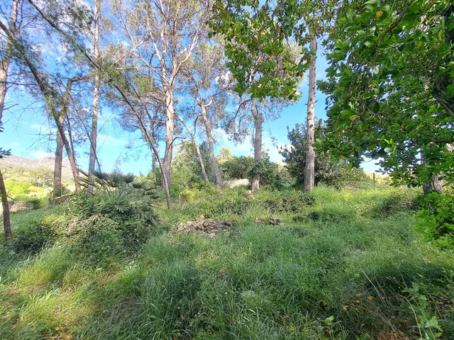 CASA RUSTICA CON TERRENO — 9