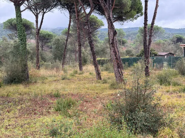 Terreno urbano en La Goba – Vidreres | 769 m2 | Parcela llan - foto 3