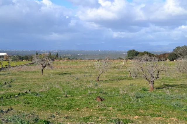 Finca rústica en Manacor — 3