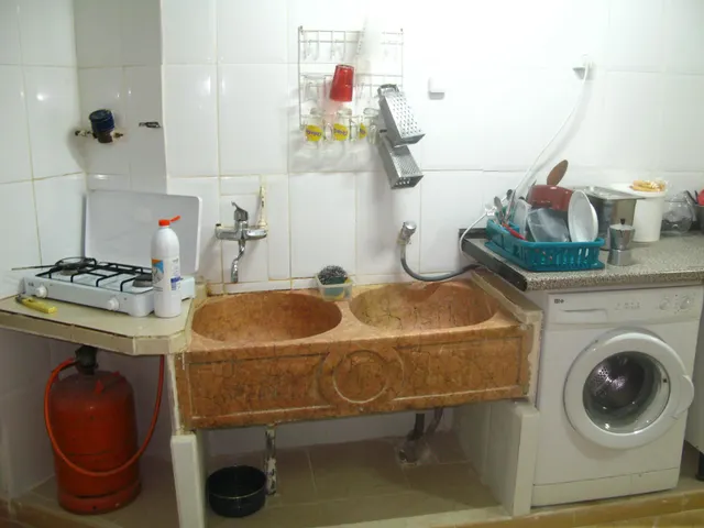TRASPASO DE HORNO  BOLLERÍA  EN EL BOTANIC — 14