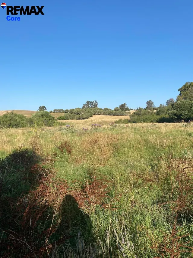 Finca Rústica de 5 Ha con Construcción Registrada – Finca en - foto 5