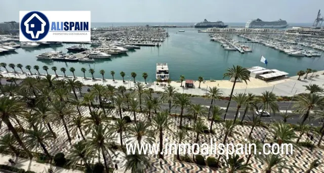 Espectacular vivvienda a estrenar en pleno corazón de Alicante - explanada de españa — 3