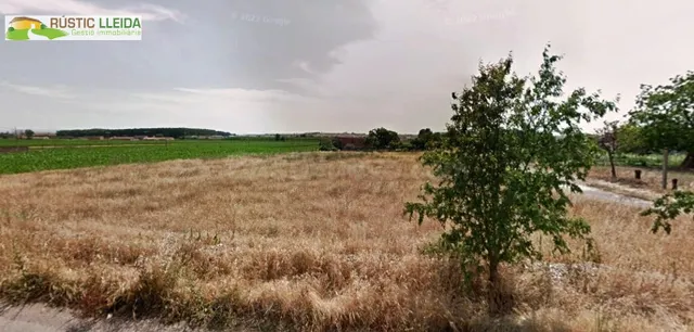 Finca rústica de regadío en Mollerussa – 2.152 m2 a solo 2 k - foto 2