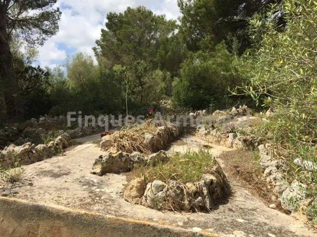 C-7048 GRAN FINCA EN CIUTADELLA — 19