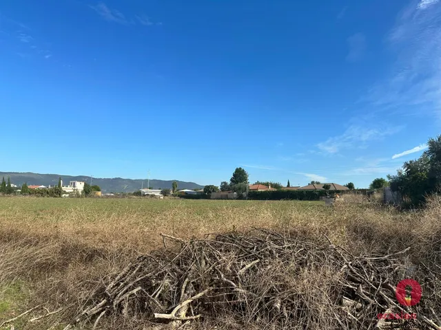 PARCELA DE 14.300 METROS - CARRETERA AEROPUERTO — 8