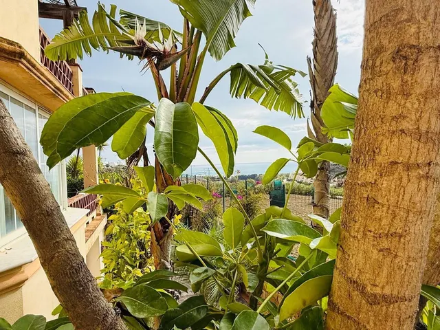 Chalet 5 habitaciones 495m² en venta - Costa Del Sol — 11
