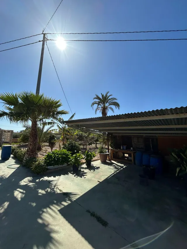 BUSCAS UN CAMPO A 2 MINUTOS DE ELCHE ? — 8