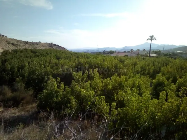 SE VENDE PARCELA EN MOLINA DE SEGURA - foto 3