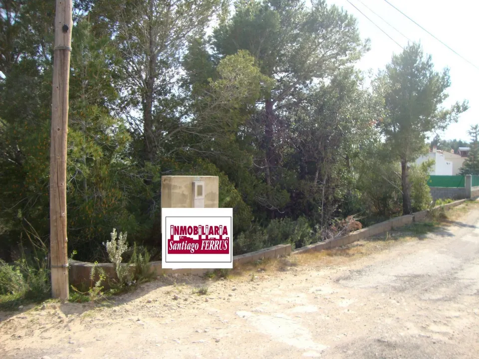 VENTA DE PARCELA EN CATADAU