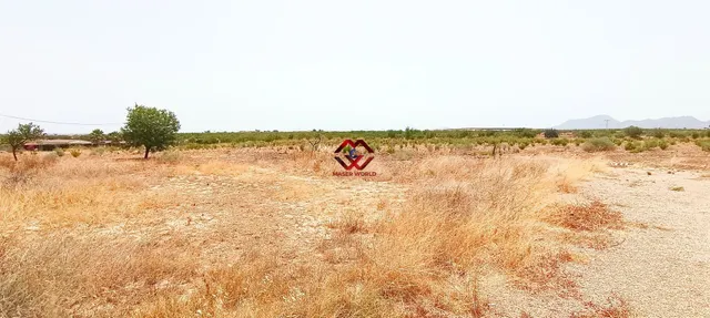 CASA DE CAMPO RECIÉN REFORMADA CON 1955m PARCELA - foto 2