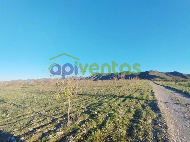 Casa de piedra con 61 hectáreas de terreno — 15