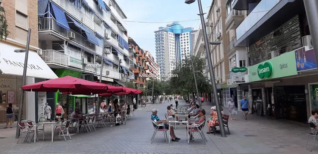 ZONA CNETRO PLAZA TRIANGULAR — 14