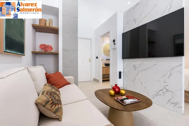 PRECIOSO ESTUDIO DE LUJO EN URBANIZACION TRIUNFO JARDIN — 6
