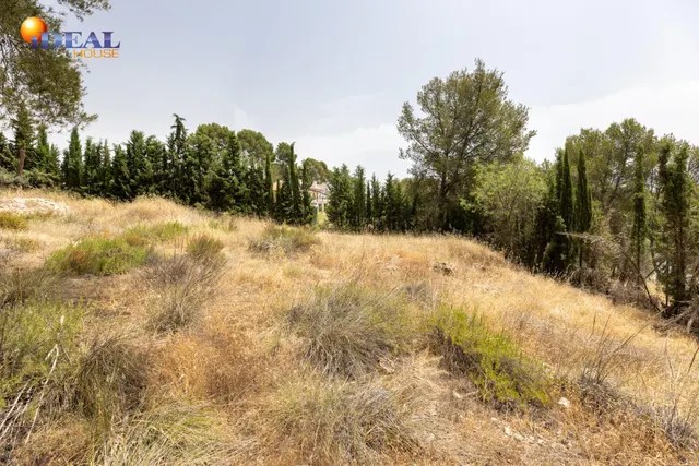 EXCLUSIVO TERRENO EN VENTA EN ALBOLOTE — 13