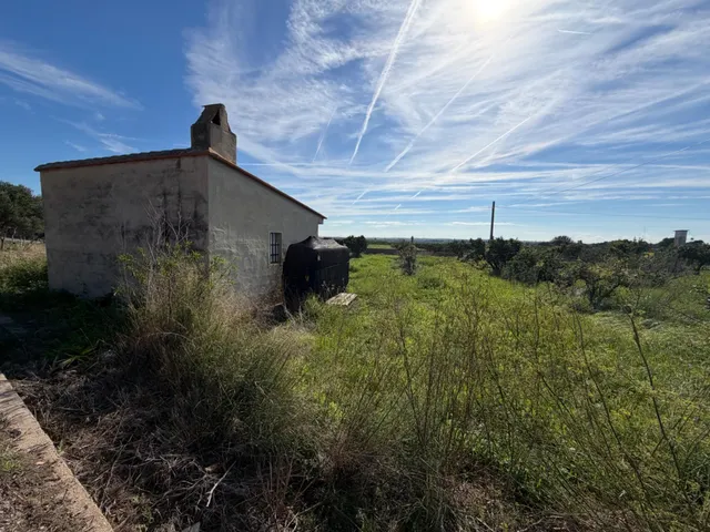 Oportunidad en término Pobla Vallbona — 4