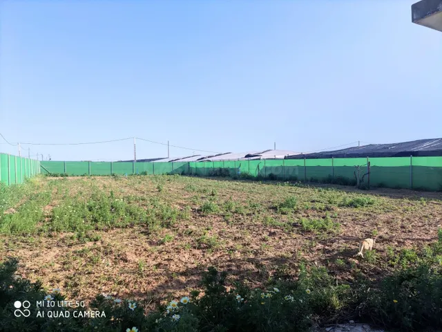 Terreno rural 25m² en venta - Carretera Sanlucar - foto 4