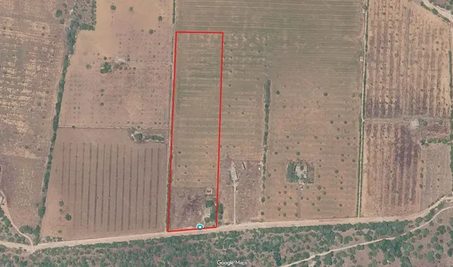 Finca rústica de 35.000 m2 con casa y porche en Llucmajor — 3