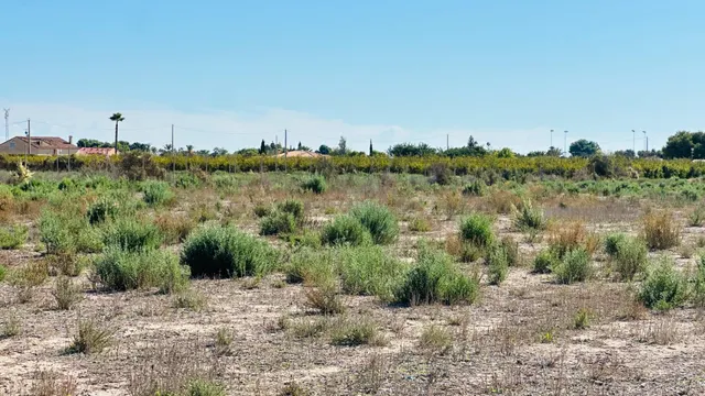 Terreno de 12.000 m2 en Perleta. — 12