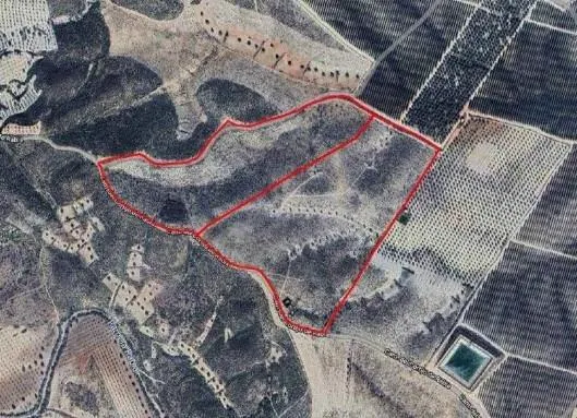 Terrenos rústicos en venta en Uleila del Campo — 6