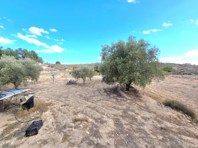 ¡Bienvenido al encanto rural de Molina de Segura! — 21