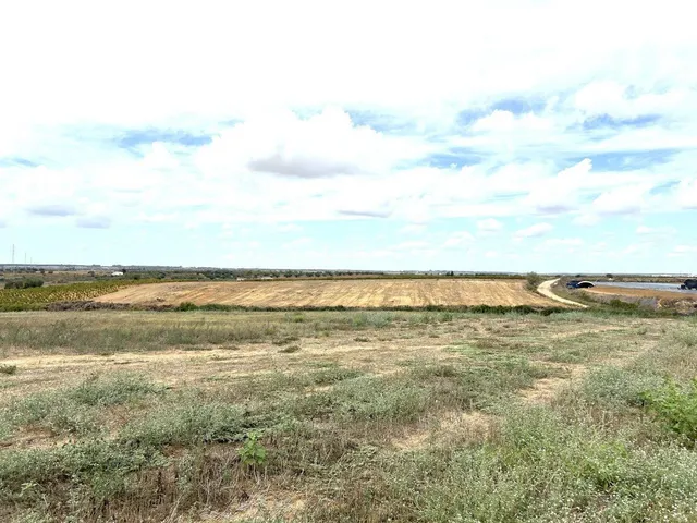 Terreno rural en venta - Almonte - foto 4