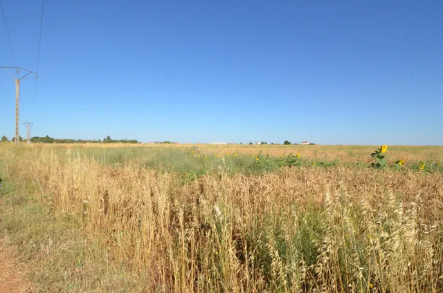 Urbis te ofrece un terreno en venta en Castellanos de Villiquera, Salamanca. — 4