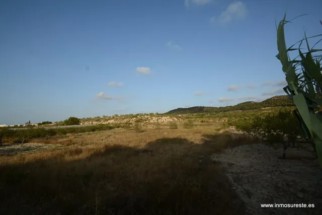 Terreno rústico de secano en la pedanía de Torremendo, Orihuela. 17.000 m2. de superficie. — 14