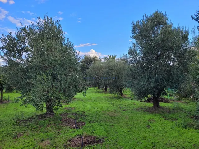 Finca Rustica En Gibraleon — 22