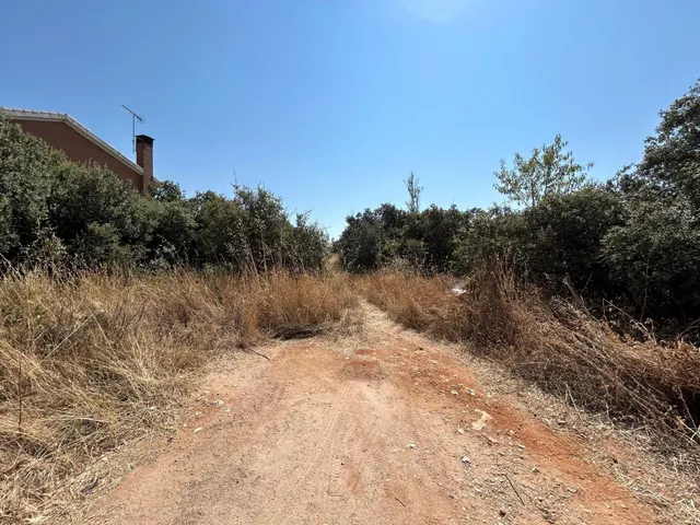 PARCELA EN EL BOSQUE DE HENARES PIOZ — 4