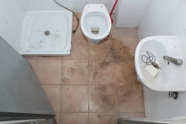 IDEAL PARA GIMNACIO, — 17