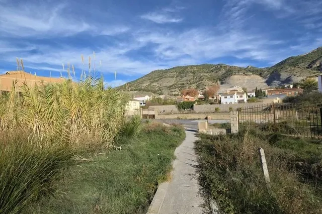 Gran parcela en Padul — 11
