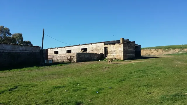 FINCA RÚSTICA ENTRE BELMEZ Y PEÑARROYA-PUEBLONUEVO — 5