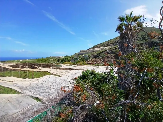 Casa con finca en Buenavista del norte — 13