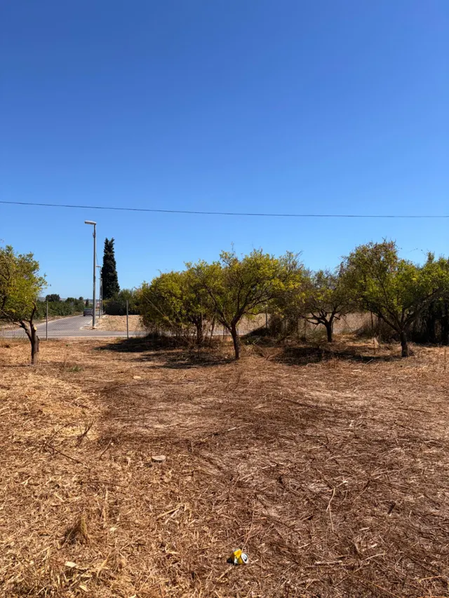 Se vende bonita parcela edificable en Zeneta (Alquerías) — 14