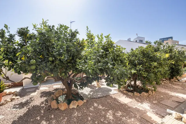 Villa 4 habitaciones 180m² en venta - Lomas de Cabo Roig — 8