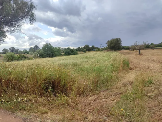 ✨ OPORTUNIDAD EN PLENA NATURALEZA – CAMÍ DE SON ROIG, A 3 KM - foto 5