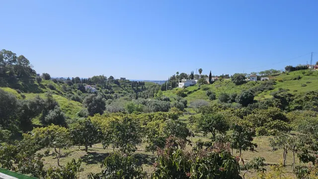 PARCELA RÚSTICA CON CASA DE APEROS  Y ÁRBOLES FRUTALES EN LA ALQUERÍA — 8
