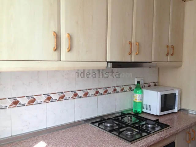 Piso 4 habitaciones 117m² en alquiler - Camins al Grau - foto 2