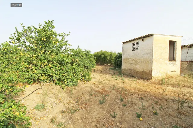FINCA RÚSTICA EN CAMPANILLAS — 26