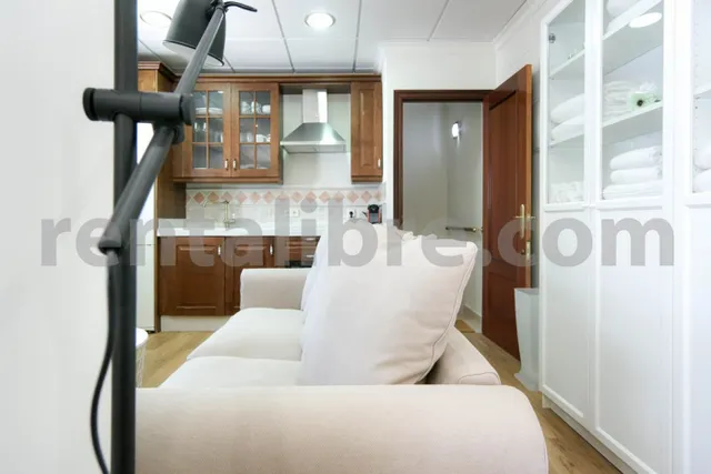 Loft 1 habitación 44m² en alquiler - Centro — 8