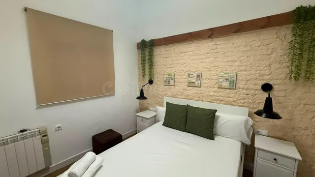APARTAMENTO EN EL CENTRO DE SEVILLA - foto 5