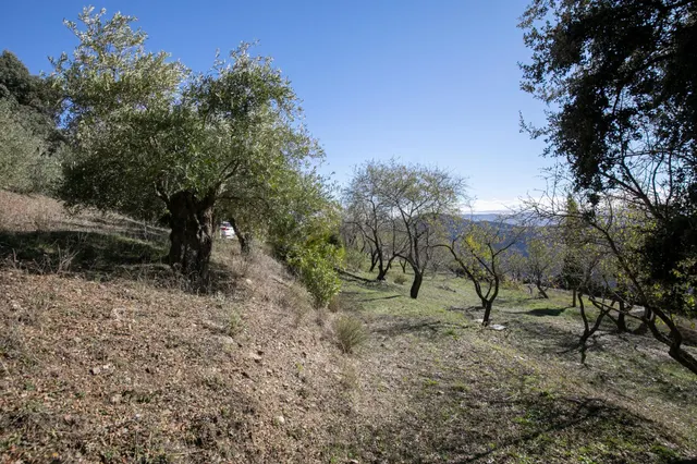 Cortijo La Jara – Un refugio de ensueño en La Alpujarra — 34