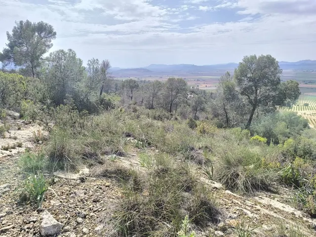 Parcela 999m² en venta - Ayuntamiento — 10