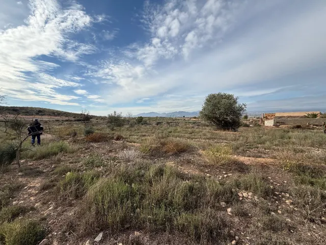 GRAN FINCA CON CASA PARA REFORMAR!!! — 8
