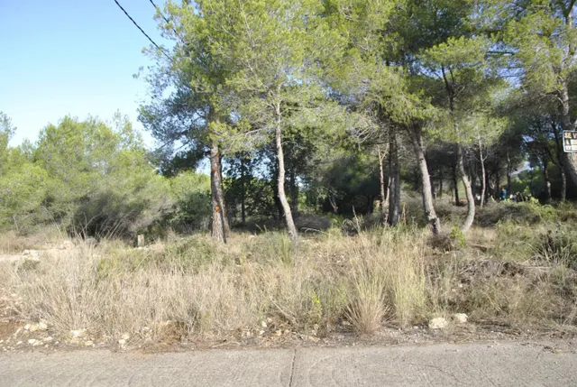 Parcela Rústica en el municipio de Cubelles, 5.560 mts2 Corral d'en Cona — 6