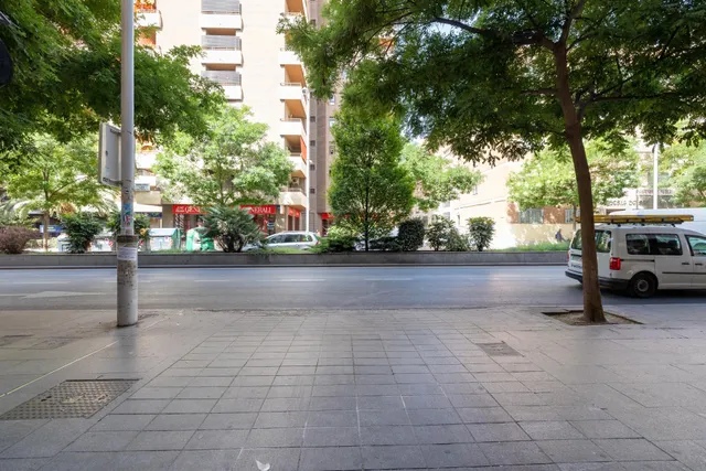 Garaje en Camino de Ronda junta a Recojidas. — 12